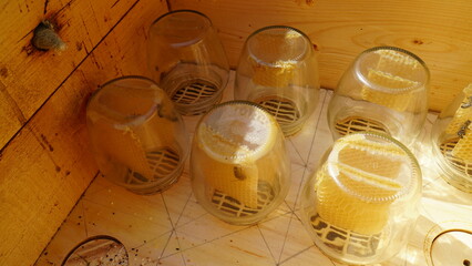 Jar with honeycombs. Bees carry honey in a jar. A swarm of bees around a jar, in an apiary.