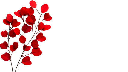 Red Eucalyptus Branches, Isolated on Black, Cut Out Transparent