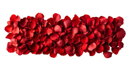 Red rose petals background, close-up top view, vibrant blooms, romance, cut out transparent