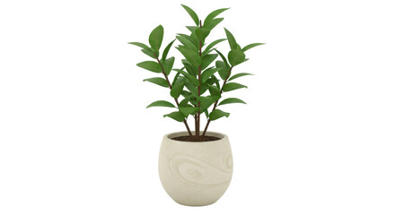Isolated Potted Green Plant Ornament