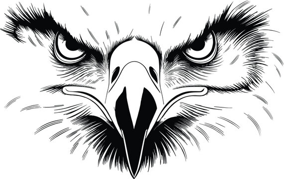 Angry eagle face vector in a close-up style, suitable for t-shirts, apparel, printables and many more | Eagle mascot, Eagle Logo, Eagle image,