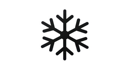 Isolated Black Snowflake