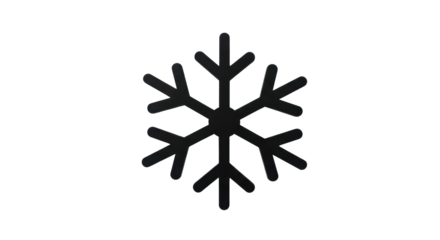 Isolated Black Snowflake