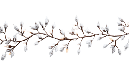 Christmas lights on tree branches with snow, cut out transparent