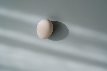 white egg in a row with soft shadows on a light blue background. 