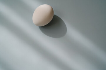 white egg in a row with soft shadows on a light blue background. 
