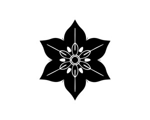 Obraz premium creative details Blazing Star Flower Icon vector illustration