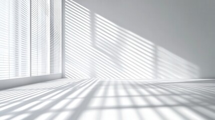 Empty White Room with Sunlight Shadows