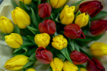 Tulip, tulip bouquet. Bouquet with colorful tulips.