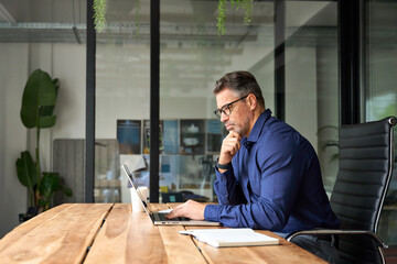 Busy business man of middle age using laptop sitting at office desk. Mature older professional...