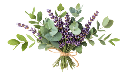 Bunch of lavender flowers and eucalyptus branches tied , cut out transparent