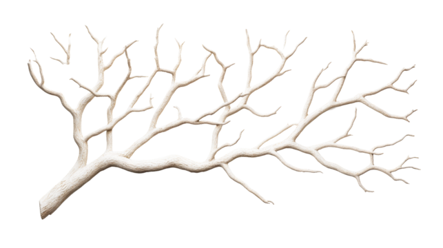 White branches with no leaves, cut out transparent