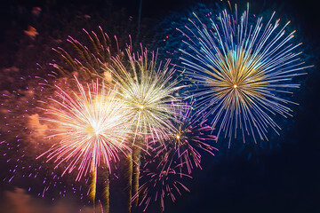 fireworks in the sky