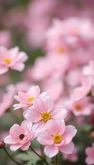 Obraz premium Soft-focus bokeh of pastel-colored flowers, blurred background, illustration, texture