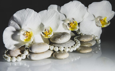 white orchids and pearls lie on the rocks
