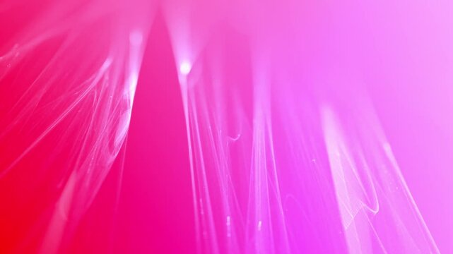 filigrane helle leuchtende Linien, futuristisch, Netzwerk, Hintergrund, digitale Daten, Hintergrund, Technologie, Wissenschaft, EDV, IT, Internet, ruhig, pink, rosa
