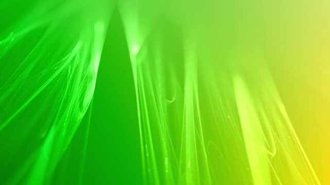 filigrane helle leuchtende Linien, futuristisch, Netzwerk, Hintergrund, digitale Daten, Hintergrund, Technologie, Wissenschaft, EDV, IT, Internet, ruhig, gr&uuml;n