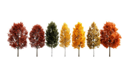 Autumnal trees in a row with changing leaves, cut out transparent