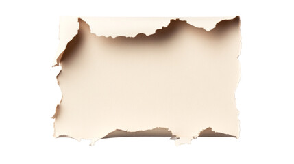 Torn paper texture with rough edges, beige colored sheet, cut out transparent