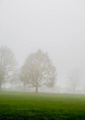 misty morning in the morning