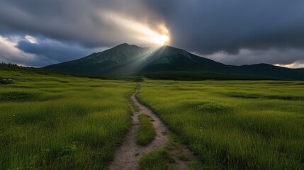 Obraz premium Sunbeams pierce clouds over a grassy mountain path