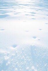 Undisturbed blanket of pristine white snow, glistening under soft sunlight, detail, scenic