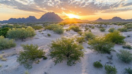 Sunset over Desert Landscape in Arizona