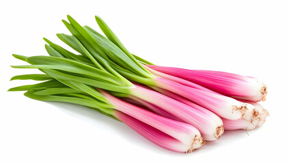 Fresh pink scallions, vibrant green tops, isolated on white