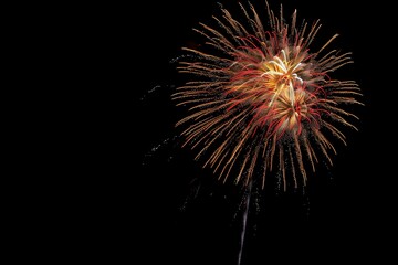 Spectacular Fireworks Display Lighting Up the Night Sky