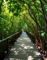 Obraz premium Wooden walkway meanders through lush mangrove forest, sunlight dappling leaves, peaceful, swamp