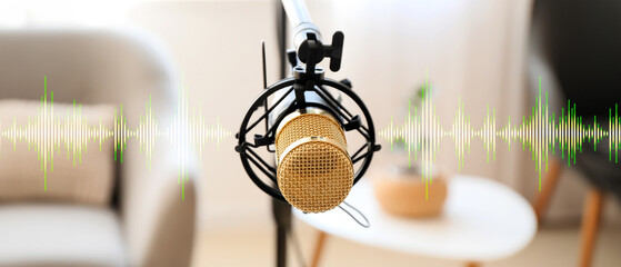 Professional microphone in light room