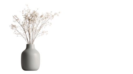 Dried plants in a light vase create an aesthetic atmosphere, cut out transparent