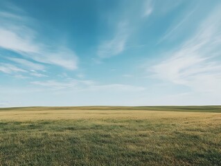 Obraz premium Open Grassland Landscape Under a Bright Blue Sky with Clouds
