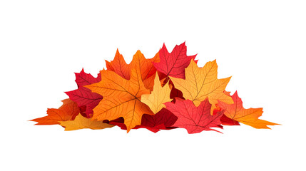 Pile of vibrant autumn maple leaves in various colors, cut out transparent
