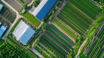 An AI powered system enhancing agricultural productivity by analyzing soil data, AI-assisted crop optimization, and real-time weather tracking for better yield prediction