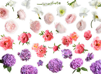 Beautiful colorful flowers on white background, collage
