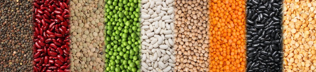 Different types of legumes, collage. Banner design