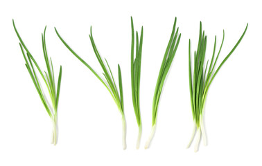 Fresh green onions on white background, set. Top view