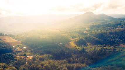 Fototapeta premium Beautiful aerial view of coffee crops in the highlands of Guatemala.
