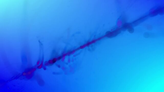 Leuchtende blaue filigrane Lichtfasern &ndash; dynamische Wissenschafts- und Technologie-Visualisierung zu Datentransfer und moderner Kommunikation, Nebel, Forschung
