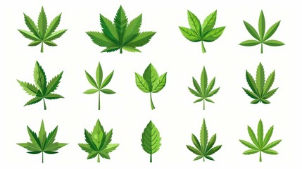 Fototapeta premium A set of sleek marijuana leaves vector icons, perfect for designs related to cannabis culture and products.