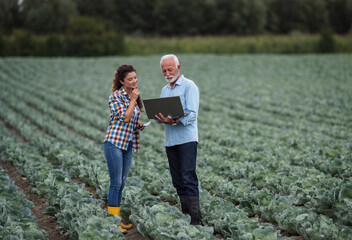 Collaboration in agriculture on cabbage farm with modern technology © Budimir Jevtic