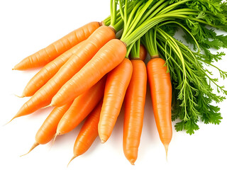 Fresh Carrots with Green Tops Healthy Vegetables, Organic Produce, Orange Roots, Bunch, Culinary, White Background.