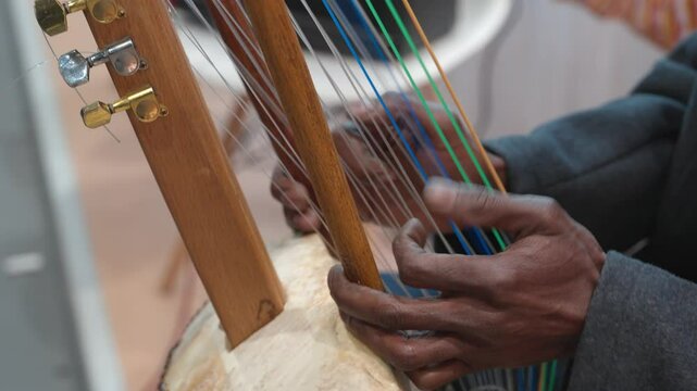 Kora Player, West African Strings Instrument