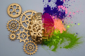 Left and right human brain. The right creative hemisphere and the left logical hemisphere.