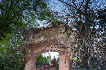 Spring in Paris. Blossom and architecture. Insects and flowers. High resolution photo.	
