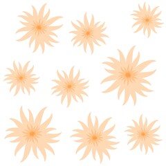 Floral seamless pattern with wildflowers