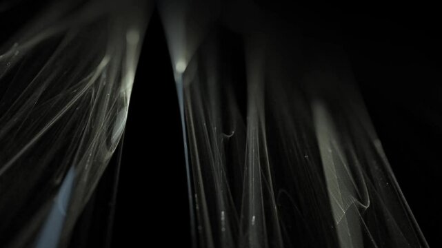 filigrane helle leuchtende Linien, futuristisch, Netzwerk, Hintergrund, digitale Daten, Hintergrund, Technologie, Wissenschaft, EDV, IT, Internet, ruhig, schwarz, grau, silber