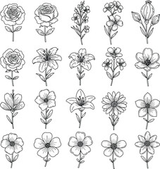 Fototapeta premium Hand-drawn ornamental floral set