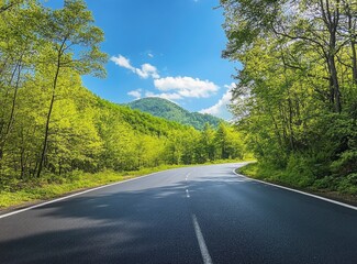Fototapeta premium Driving on Scenic Road Surrounded by Green Trees and Mountain View